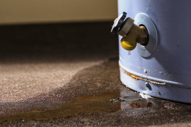Best Basement water damage restoration  in Hillsboro, TX