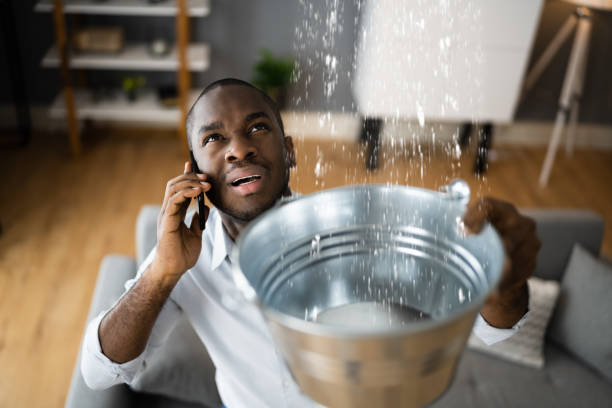 Best Water damage contractors near me  in Hillsboro, TX