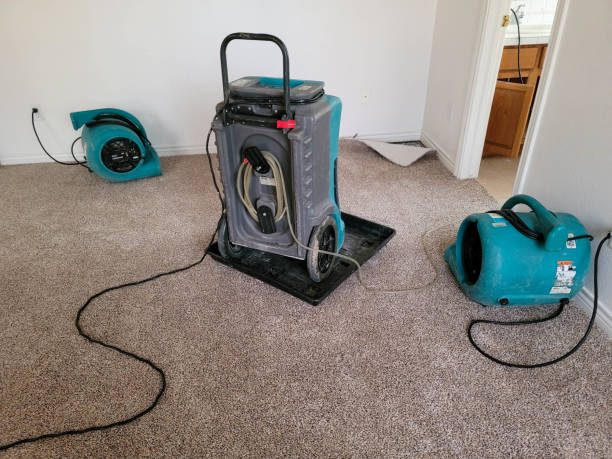 Best Residential water damage restoration  in Hillsboro, TX