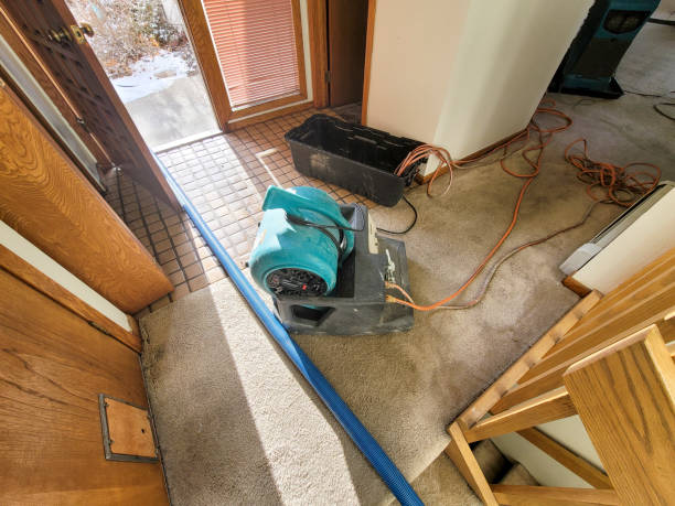 Best Water damage cleanup near me  in Hillsboro, TX