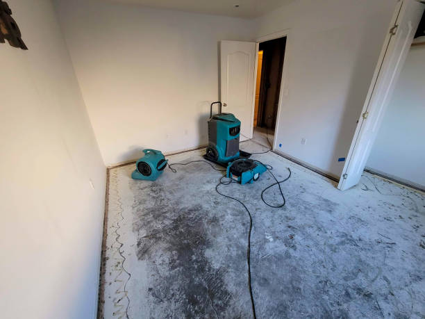 Best Commercial water damage restoration  in Hillsboro, TX
