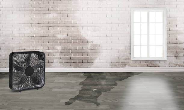 Best Sewage cleanup and water damage restoration  in Hillsboro, TX