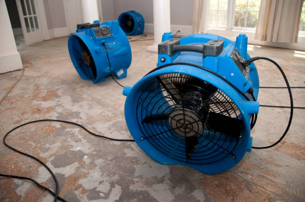 Best Sewage cleanup and water damage restoration  in Hillsboro, TX