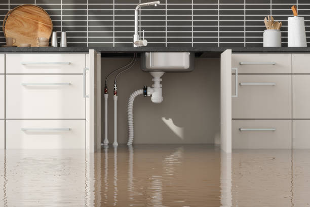 Best 24/7 water damage repair  in Hillsboro, TX